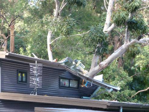 Tree Stump Removal Pacific Palms NSW Suburb Australia