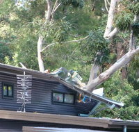 John Henry Tree Services - Suburb Australia