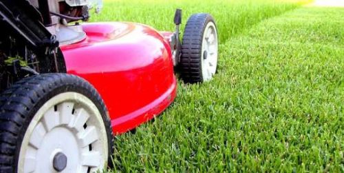 Lawnmowing Maintenance Parkside QLD Suburb Australia