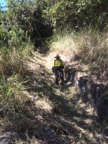 Down To Earth Whitsundays - Suburb Australia 4