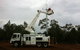 Country Powerline Constructions - thumb 8