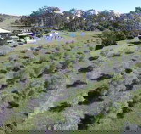 Just Realty Nanango - Suburb Australia