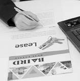 Real Estate Agents Cessnock NSW Suburb Australia