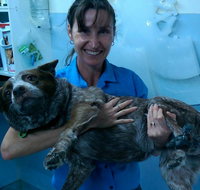 Proserpine Vet Surgery - Suburb Australia