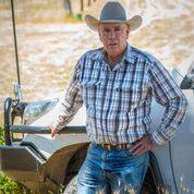 Jim Lyons Agency - Suburb Australia 4