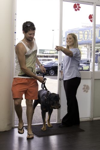 Dog Trainers Bundaberg QLD Suburb Australia