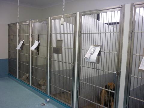 Vets Trinity Beach QLD Suburb Australia