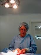 Orange Vet - Suburb Australia 0