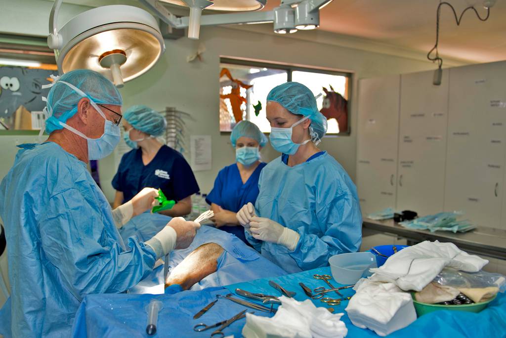 Vets Durack NT Suburb Australia
