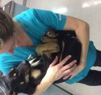 Bayview Vets - Suburb Australia