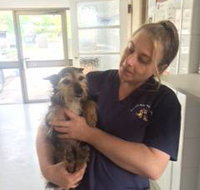 Bateau Bay Veterinary Hospital - Suburb Australia