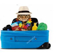Better Pet Vets Northern Beaches - Suburb Australia
