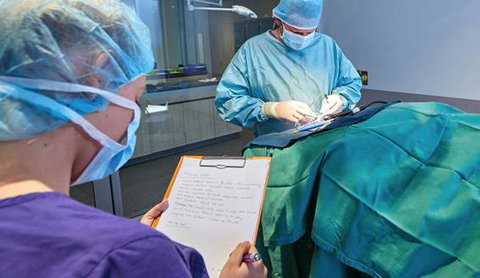 Better Pet Vets Northern Beaches - Suburb Australia 3