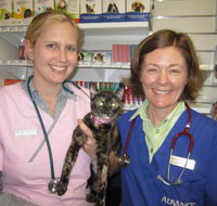 Andergrove Veterinary Clinic - Suburb Australia
