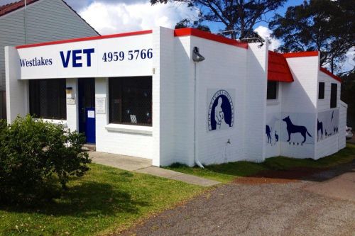 Vets Fennell Bay NSW Suburb Australia