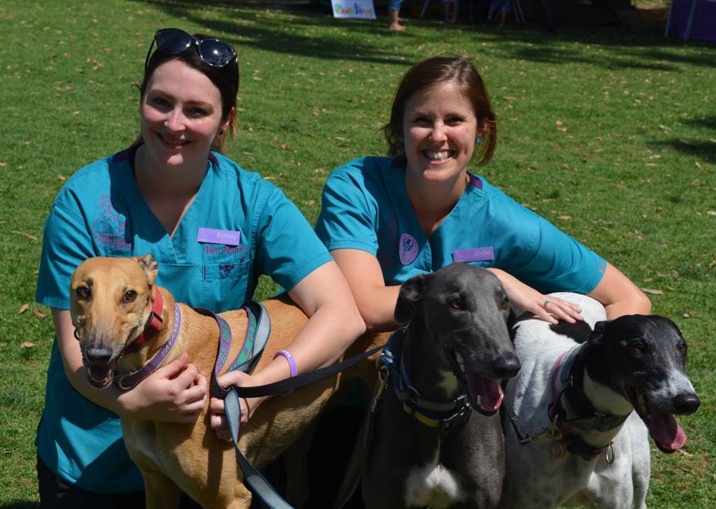 Vets Wallsend NSW Suburb Australia