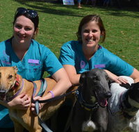 Wallsend Vet Newcastle - Suburb Australia