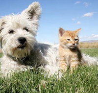 Edgeworth Veterinary Clinic - Suburb Australia