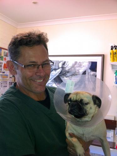 Vets Lennox Head NSW Suburb Australia