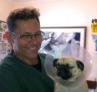 Lennox Head Vet Clinic - Suburb Australia