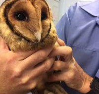 Motto Farm Veterinary Hospital - Suburb Australia