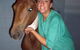 Southern Highlands Equine Centre - thumb 0