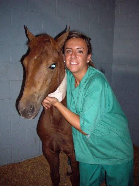Southern Highlands Equine Centre - Suburb Australia 0