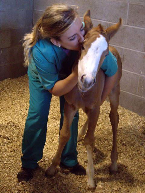 Southern Highlands Equine Centre - Suburb Australia 2