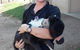 Southern Highlands Equine Centre - thumb 3