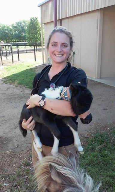 Southern Highlands Equine Centre - Suburb Australia 3