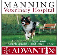 Manning Veterinary Hospital - Suburb Australia