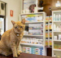 Wulguru Veterinary Clinic - Suburb Australia