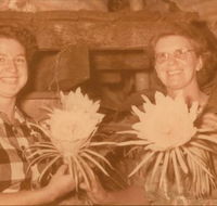 Archive It Kay Pearce - Suburb Australia