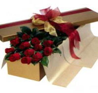 Central Coast Florist - Suburb Australia