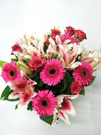 The Garden Florist - Suburb Australia 2