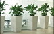 Living Green Indoor Plant Hire - thumb 0
