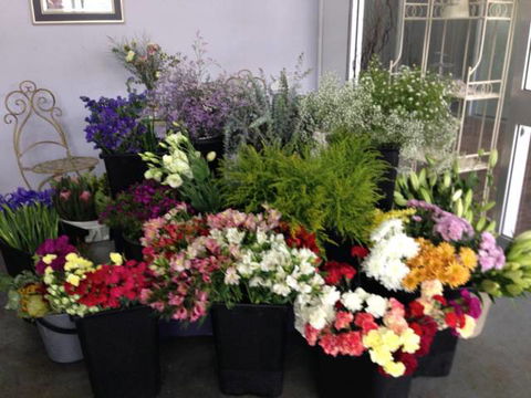 Every Blooming Thing - Suburb Australia 3
