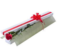 Beerwah Flowers  Gifts - Suburb Australia