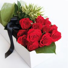 Florists Maroochydore QLD Suburb Australia