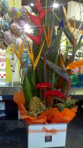 Kawana Florist–Cotton Tree House Of Flowers - Suburb Australia 0