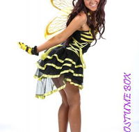 Becs Costume Box - Suburb Australia