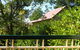 Hill Of Promise Winery - thumb 2