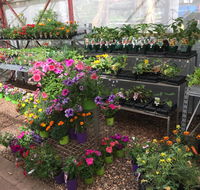Alice Springs Nursery - Suburb Australia