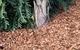 Gympie Landscape Supplies & Earthworks - thumb 1
