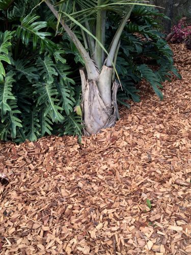 Gympie Landscape Supplies & Earthworks - Suburb Australia 1