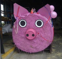 Farmyard Feeds Mackay - Suburb Australia
