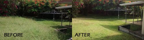 Carpet Cleaning Mount Pleasant QLD Suburb Australia