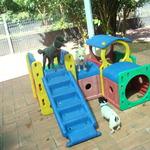 Dog Boarding Kennels Virginia NT Suburb Australia