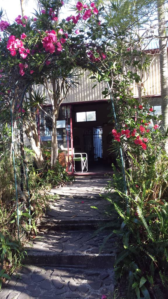 Dog Cat Clipping Washing Grooming Toogoom QLD Suburb Australia