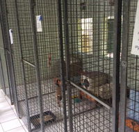 Gympie Cooloola Pet Resort - Suburb Australia